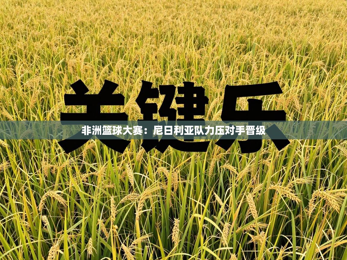 非洲篮球大赛：尼日利亚队力压对手晋级  第1张